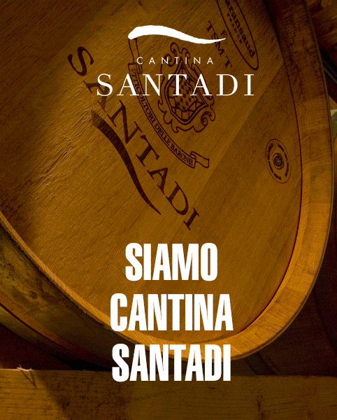 banner-cantinaSantadi